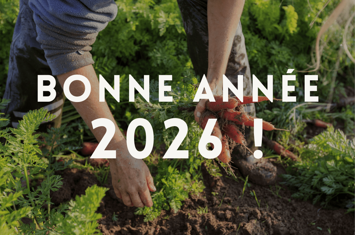 BONNE ANNEE 2026