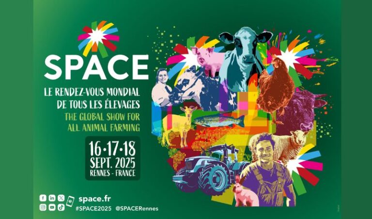 space pour actu