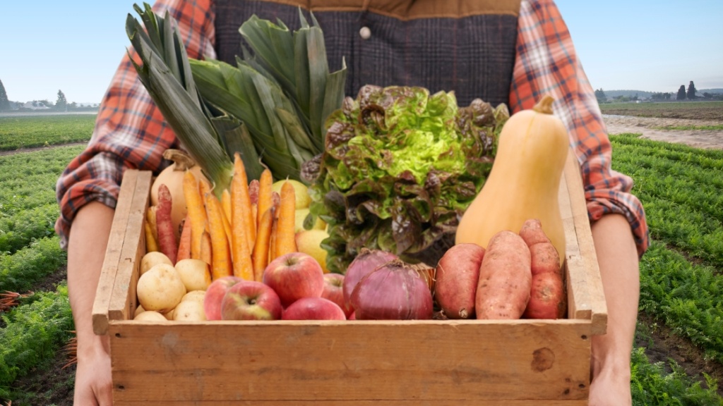 Photo panier bio solidaire