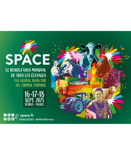 SPACE SPACE