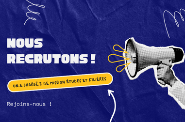 recrutement chargé de missions site