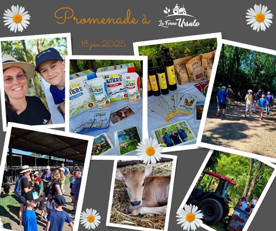 visuel ferme ursule