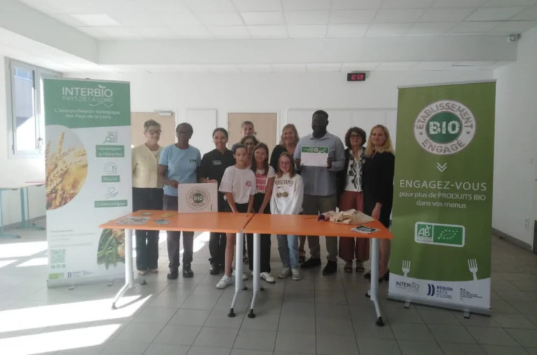 EBE collège la ville aux roses