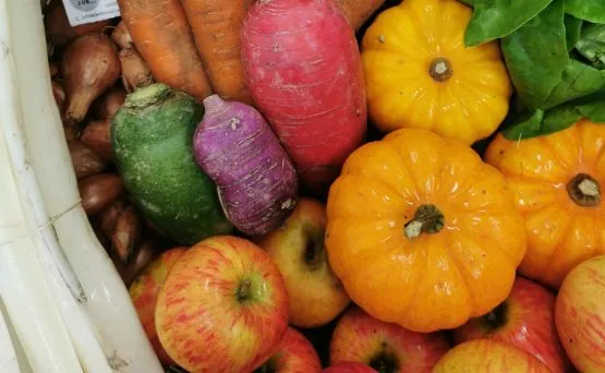 LES PANIERS BIO SOLIDAIRES