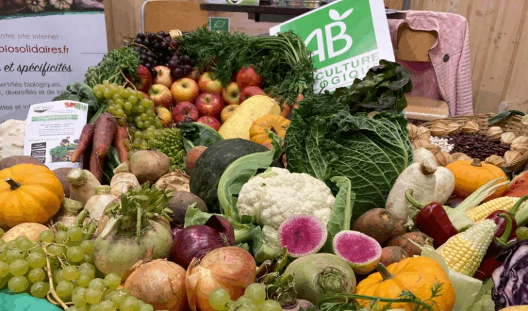 Page fruits & légumes BLO