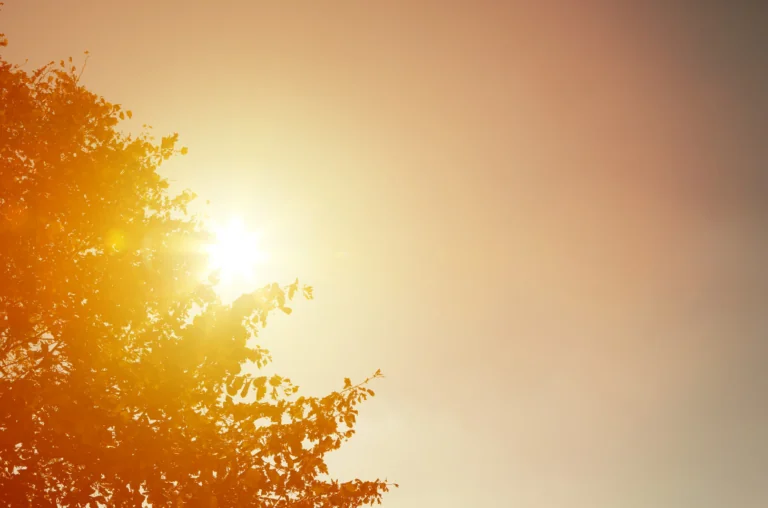 canicule