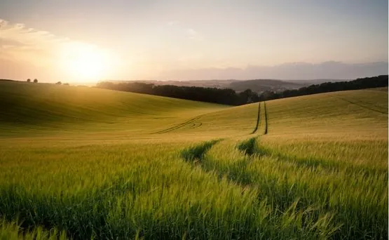 cooperation agricole