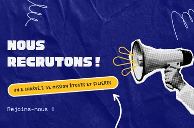 recrutement chargé de missions site